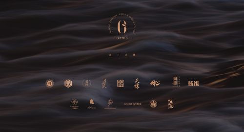 環(huán)球佳釀造就不一樣的酒業(yè)大咖！
