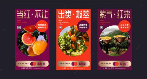 品牌策劃帶你了解血橙和其他橙類有什么區(qū)別？
